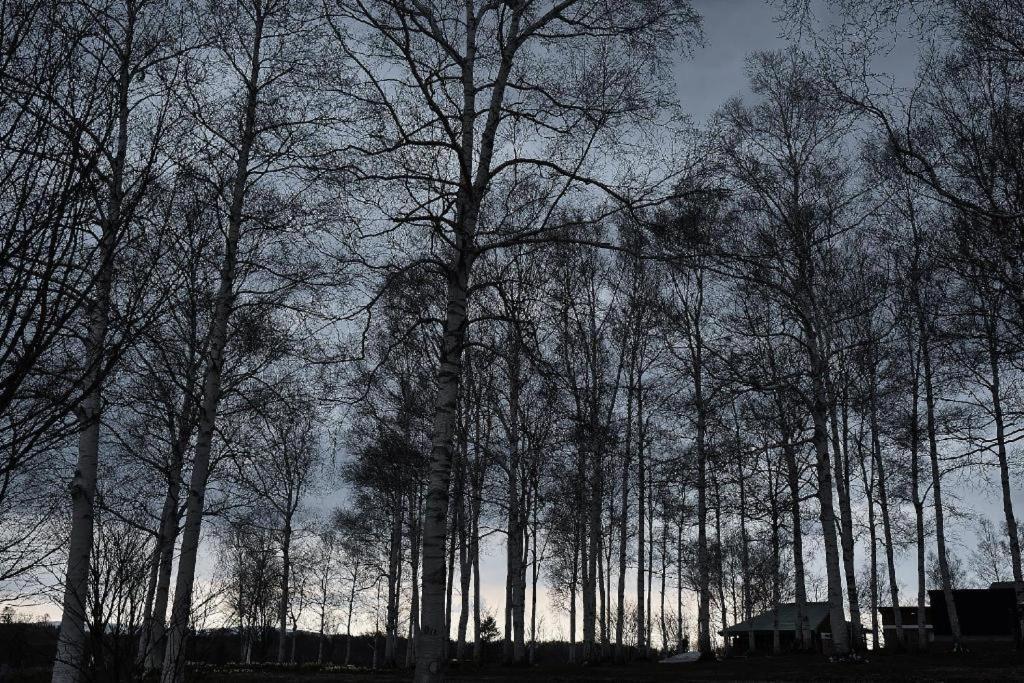 ホテル 層雲峡温泉 雲井 神河町 エクステリア 写真